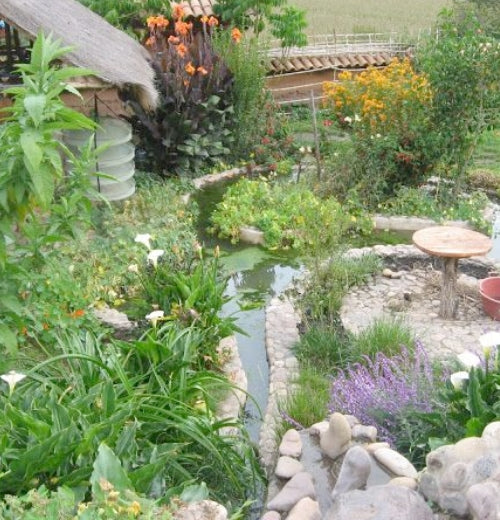 Permaculture: Designing for a Sustainable Future