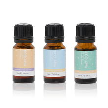 Load image into Gallery viewer, Eco Aroma Essential Oil Trio - Calm &amp; Focus (3 Pack)