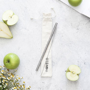 On-The-Go Straw Kit & Cleaning Brush - Stainless Steel-out & about-MintEcoShop