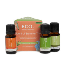 Load image into Gallery viewer, Eco Aroma Essential Oil Trio - Scent of Summer (3 Pack)