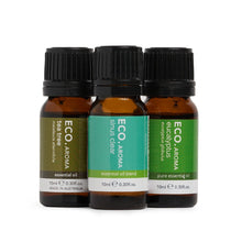 Load image into Gallery viewer, Eco Aroma Essential Oil Trio - Fight the Flu (3 Pack)